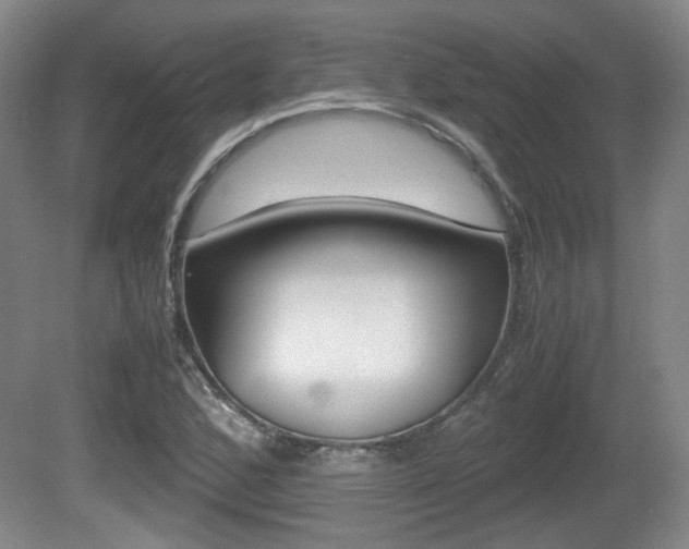 X0000080701168200612150829