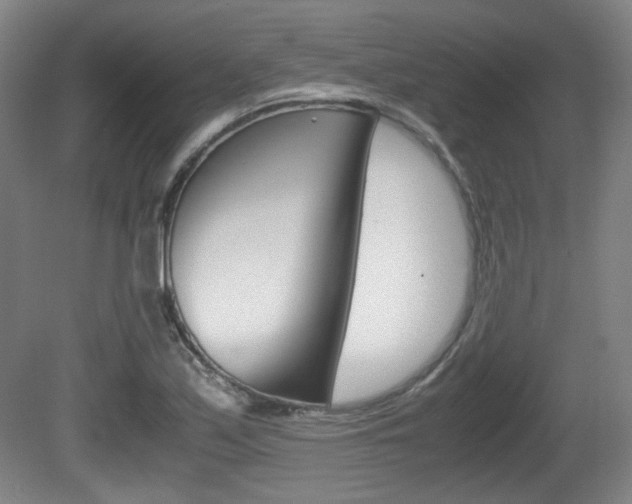X0000080701171200612150829