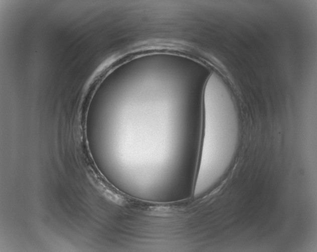 X0000080701172200612150829