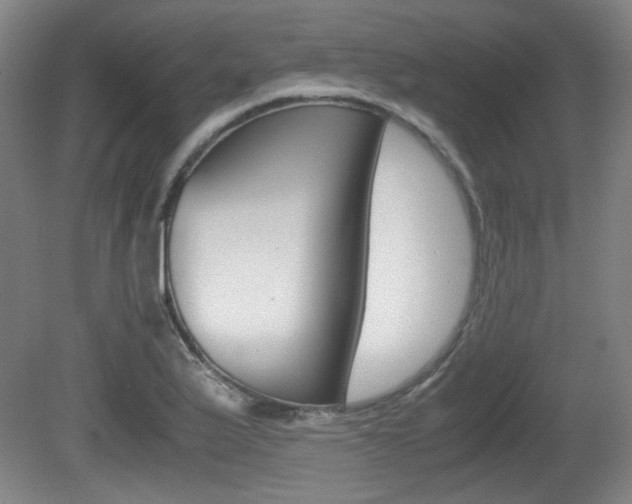 X0000080701175200612150829