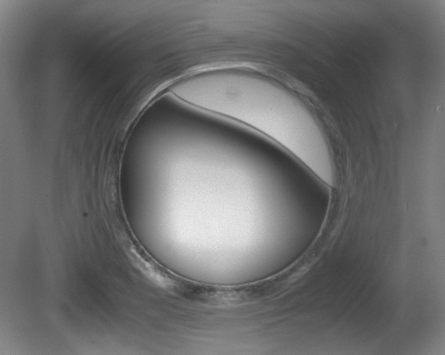 X0000080701177200612150829