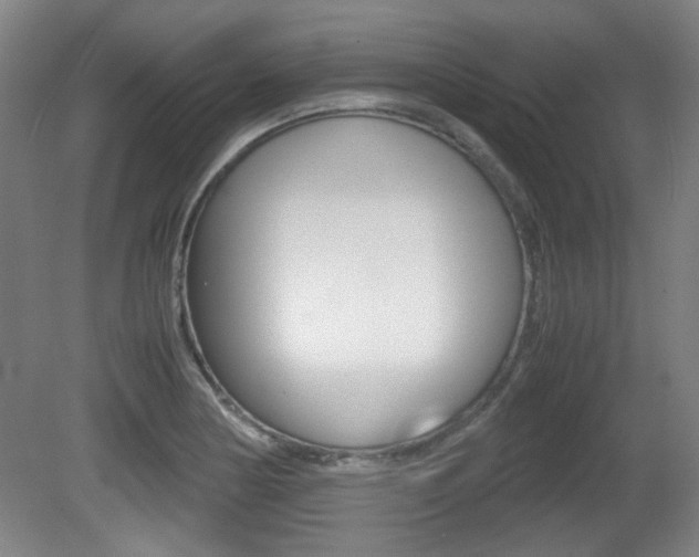 X0000080701178200612150829