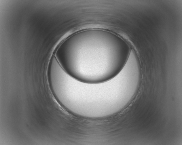 X0000080701181200612150829