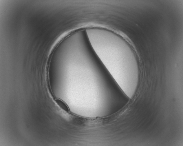 X0000080701183200612150829