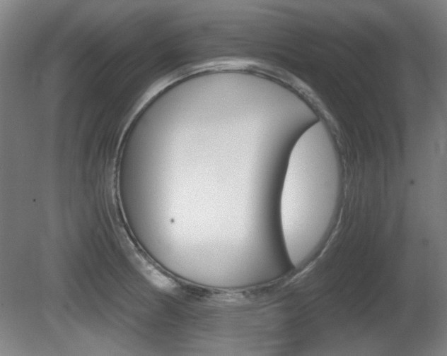 X0000080701186200612150828