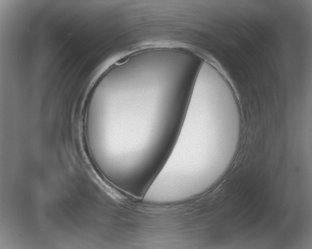 X0000080701187200612150828