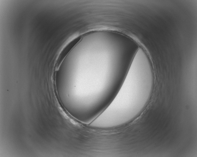 X0000080701189200612150828