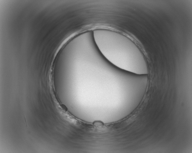 X0000080701190200612150828
