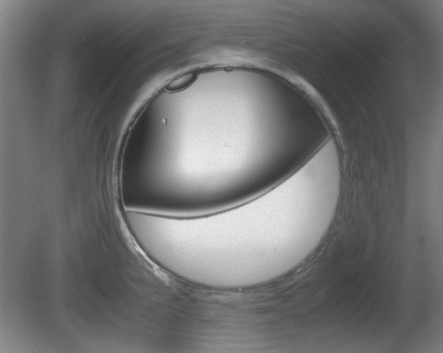 X0000080701191200612150828
