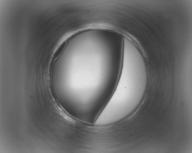 X0000080701192200612150828