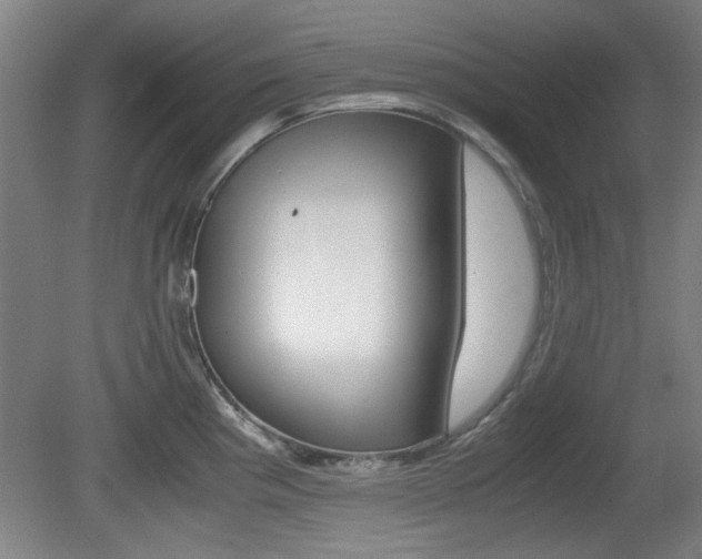 X0000080701193200612150828