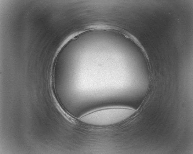 X0000080701195200612150828