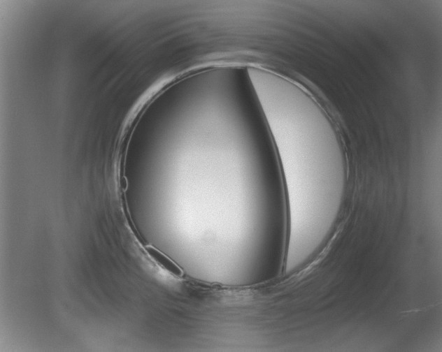 X0000080701196200612150828