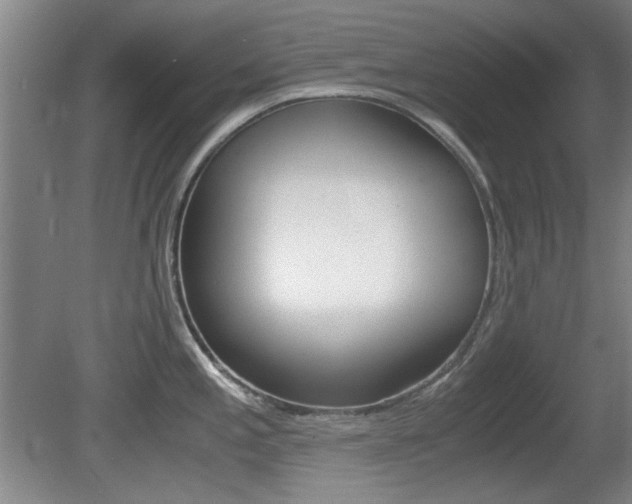 X0000080701197200612150828