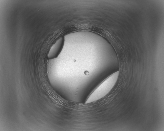 X0000080701201200612150827