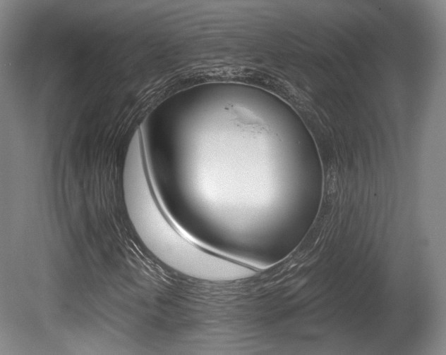 X0000080701202200612150827