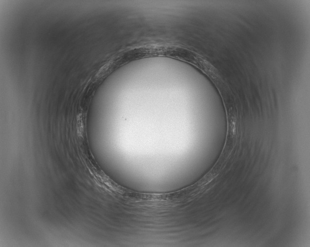 X0000080701204200612150827