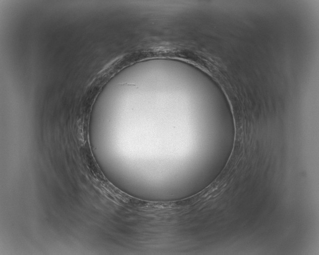 X0000080701205200612150827