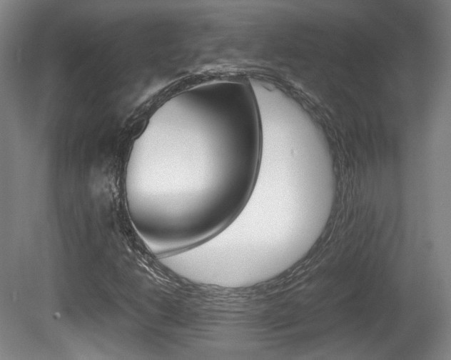 X0000080701206200612150828
