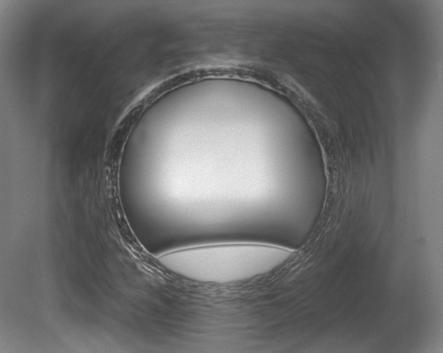 X0000080701208200612150828
