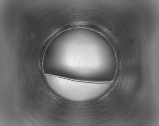 X0000080701209200612150828
