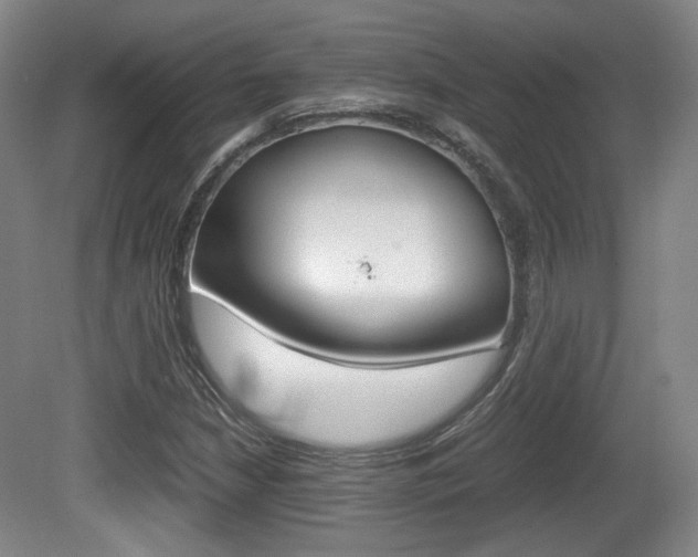X0000080701210200612150828