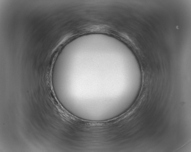 X0000080701211200612150828