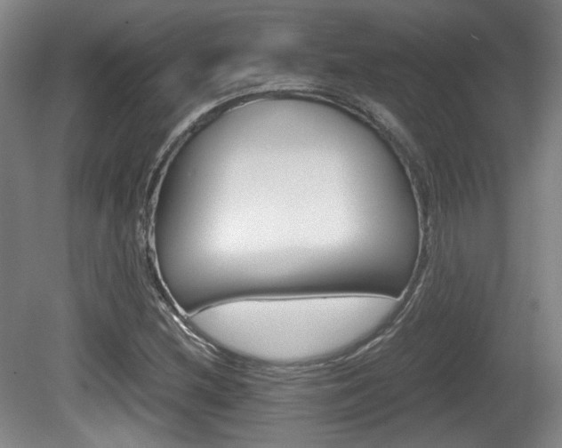 X0000080701212200612150828