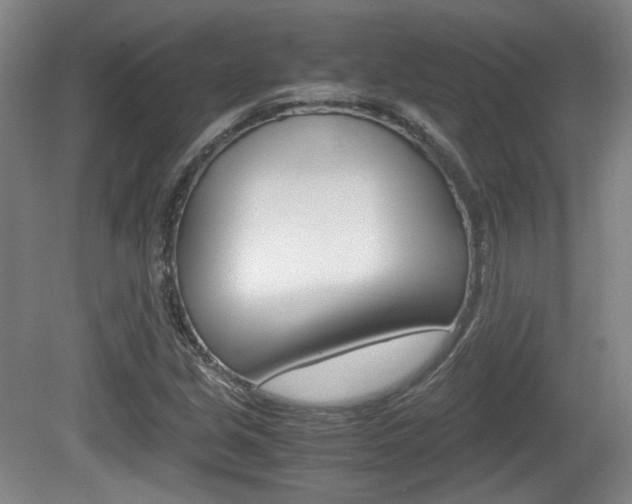 X0000080701213200612150828