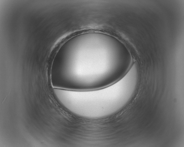 X0000080701214200612150828