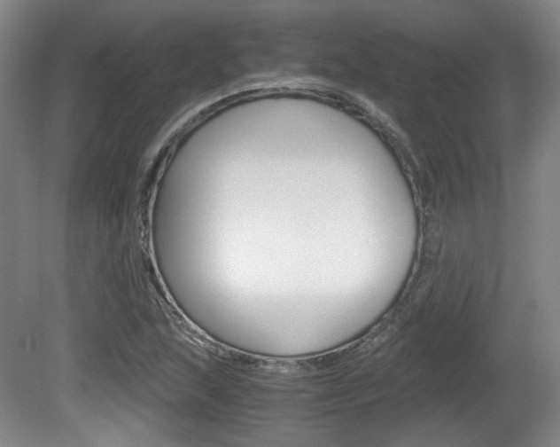X0000080701215200612150828