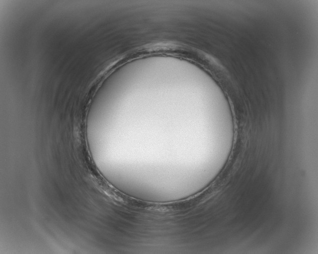 X0000080701217200612150828