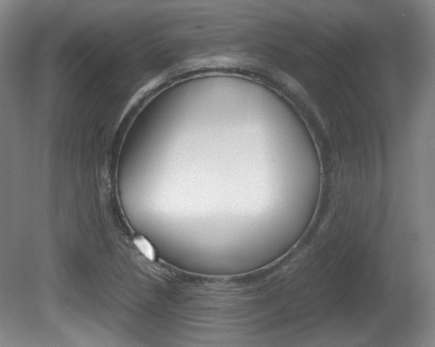 X0000080701218200612150828