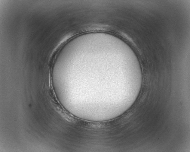 X0000080701219200612150828