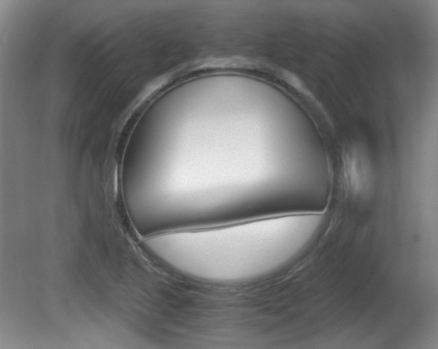 X0000080701221200612150828