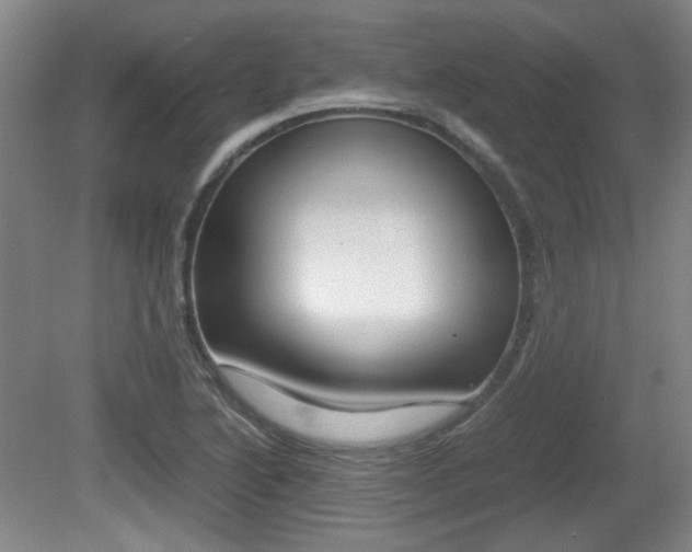 X0000080701222200612150828