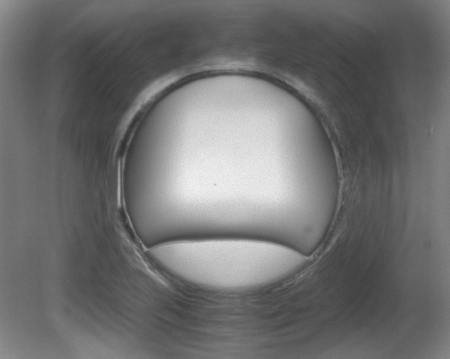 X0000080701223200612150828