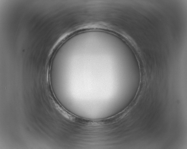 X0000080701224200612150828