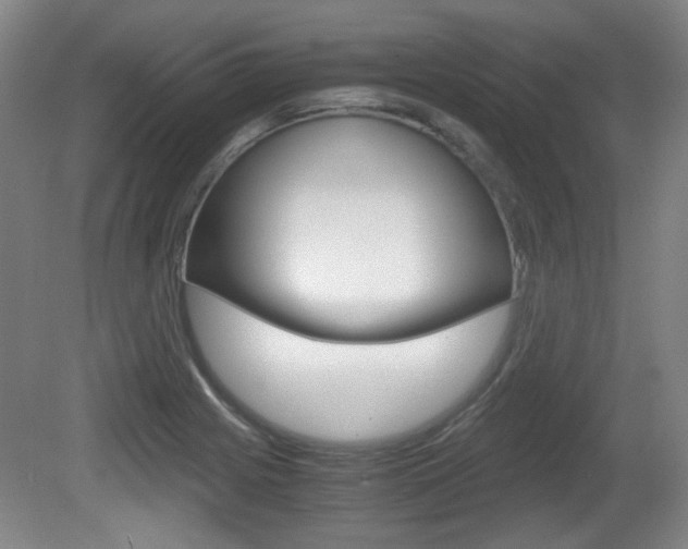 X0000080701225200612150828