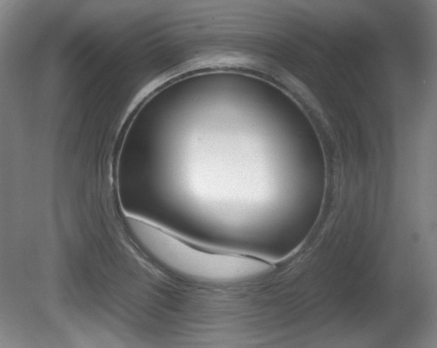 X0000080701226200612150828