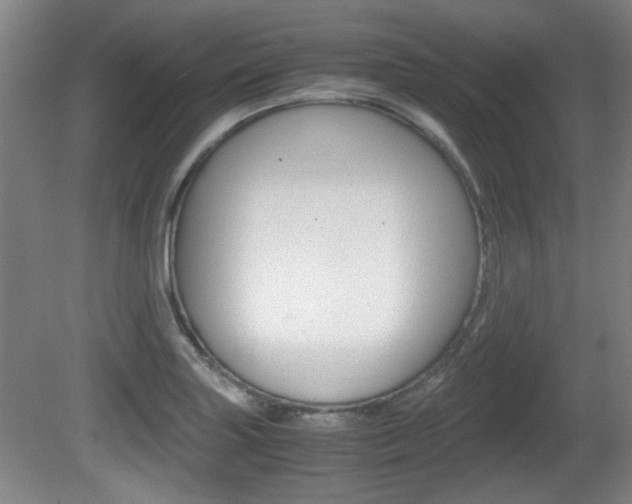 X0000080701227200612150828