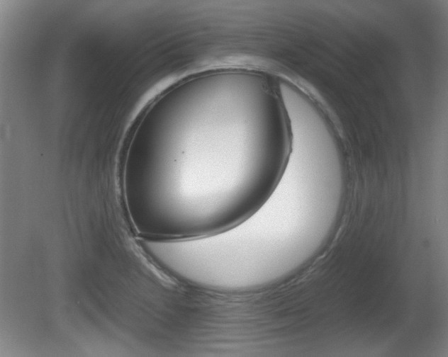 X0000080701230200612150828