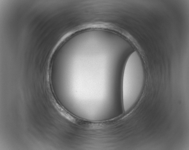 X0000080701232200612150828