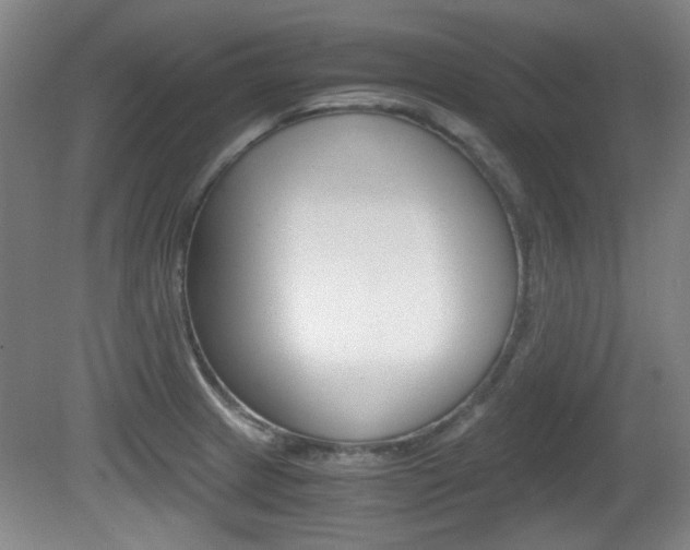 X0000080701233200612150828
