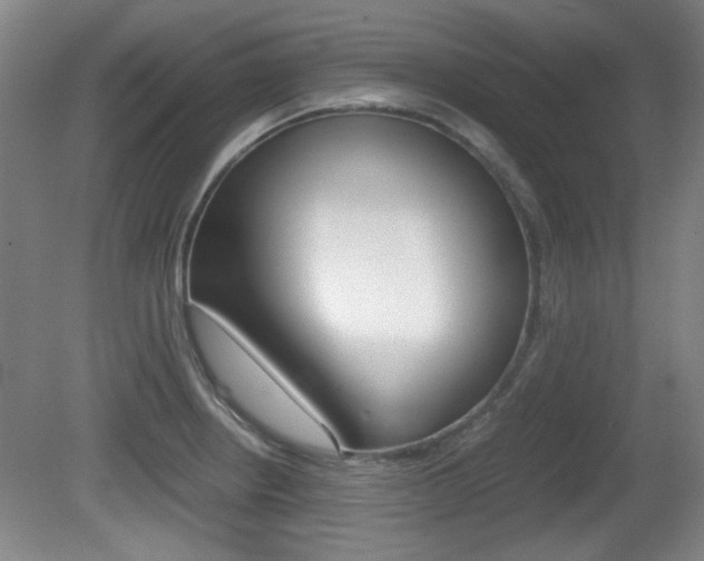 X0000080701234200612150828