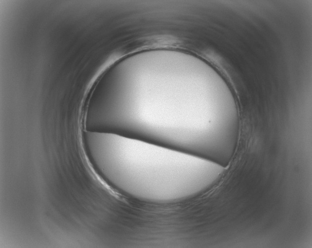 X0000080701235200612150828