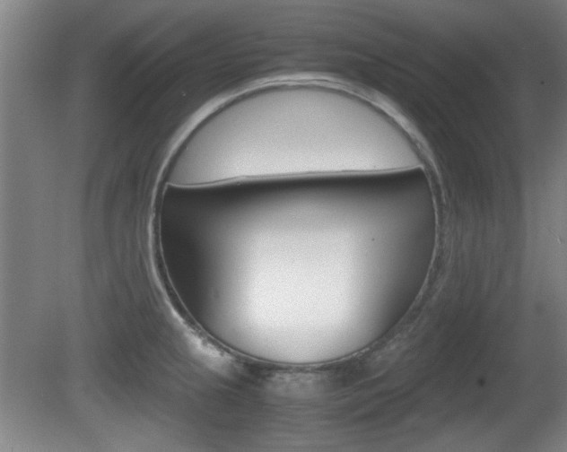 X0000080701237200612150828