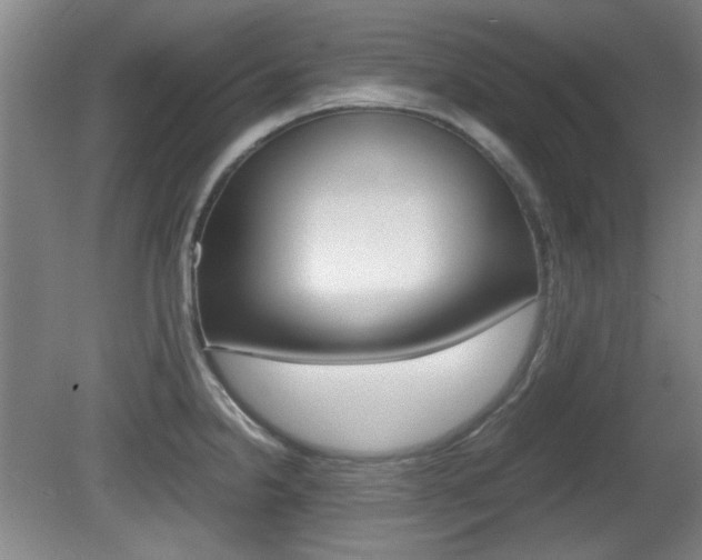 X0000080701238200612150828