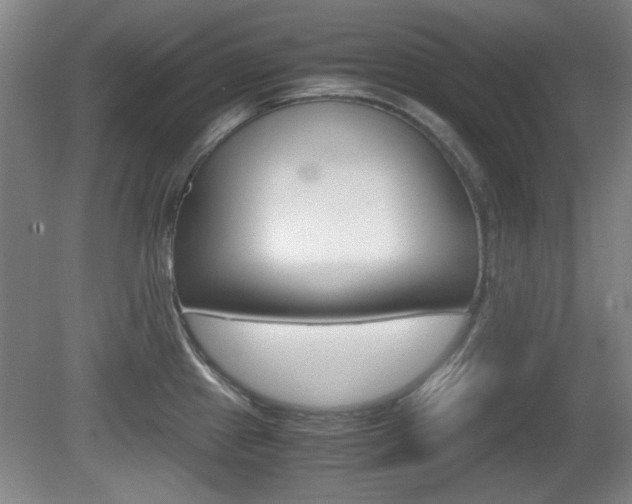 X0000080701241200612150828