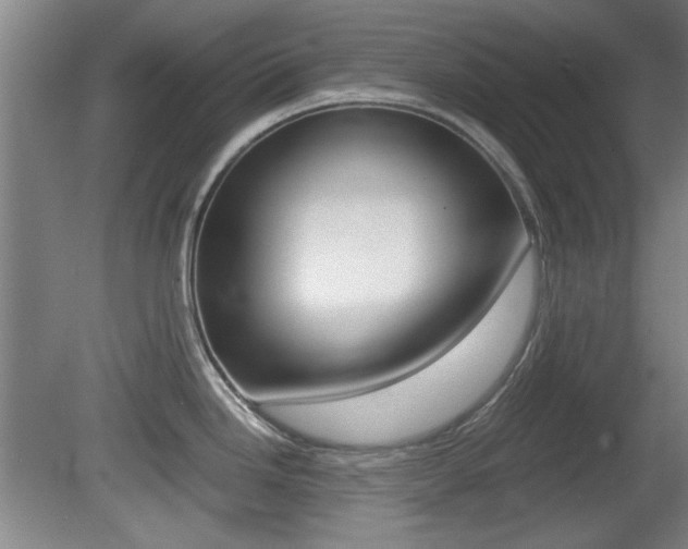 X0000080701246200612150828